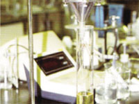 TPE/CPE/PE/LDPE/HDPE手套
