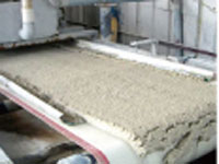 TPE/CPE/PE/LDPE/HDPE手套