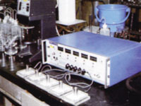 TPE/CPE/PE/LDPE/HDPE手套