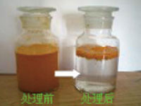 TPE/CPE/PE/LDPE/HDPE手套